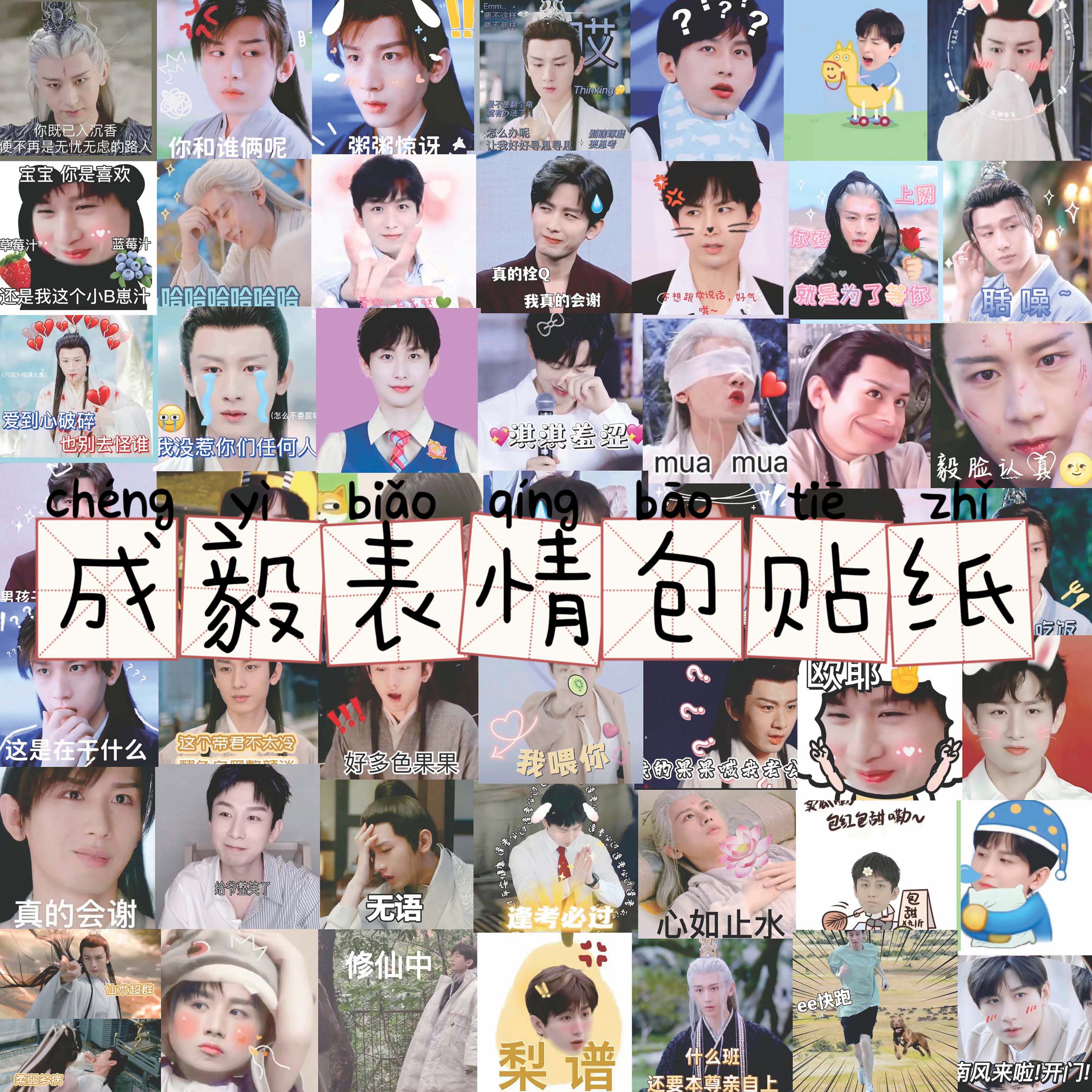 成毅表情包贴纸手账装饰手机壳