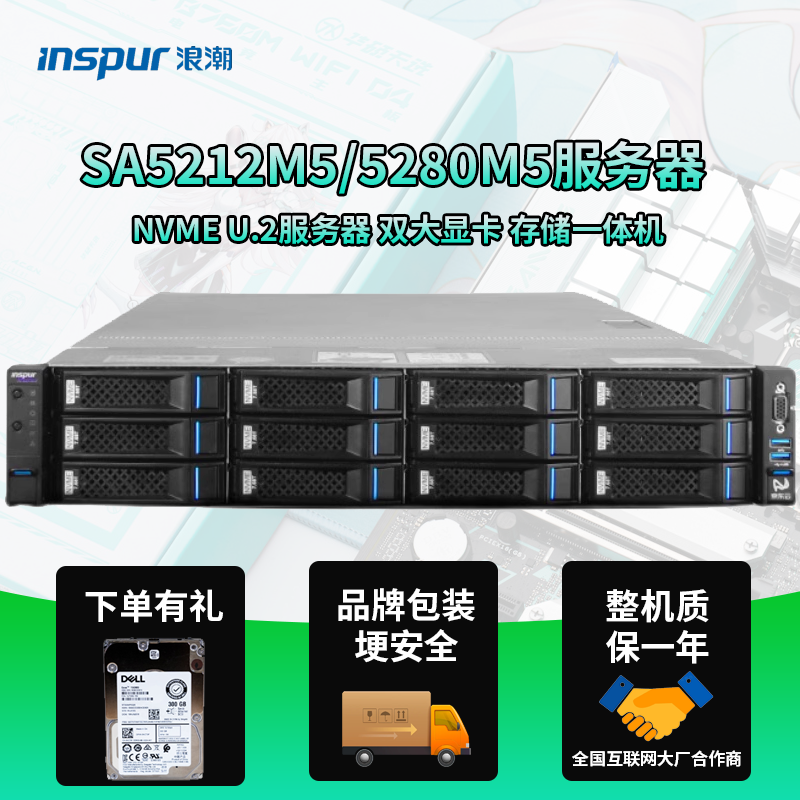 浪潮 SA5212M5 5280M5 2U服务器 存储 双GPU NVME U.2 主机3647针
