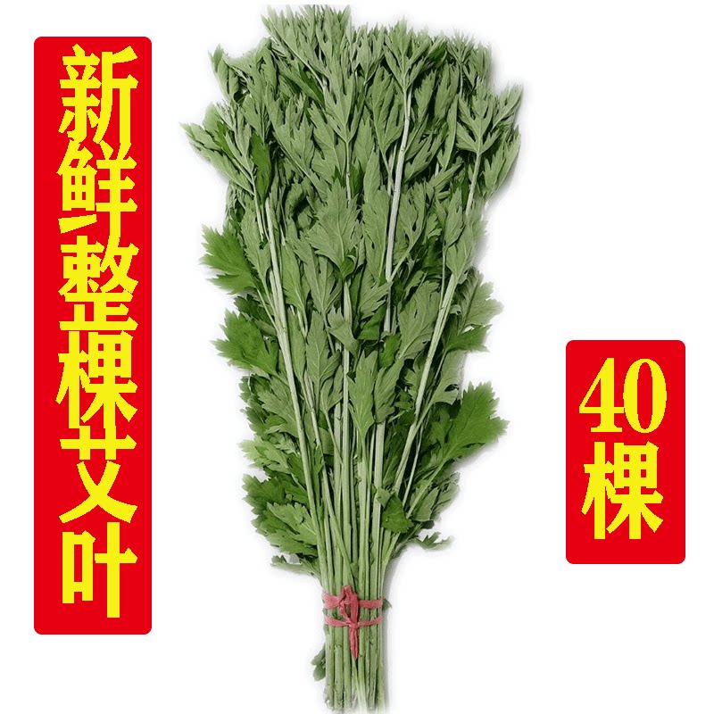 新鲜野生整颗艾草艾叶端午节驱蚊图片