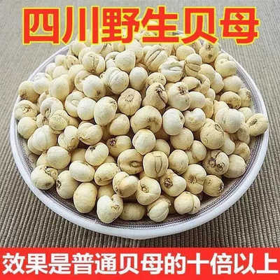四川贝母中药材500g克官方旗舰店正品川贝母粒正宗贝母粉无硫