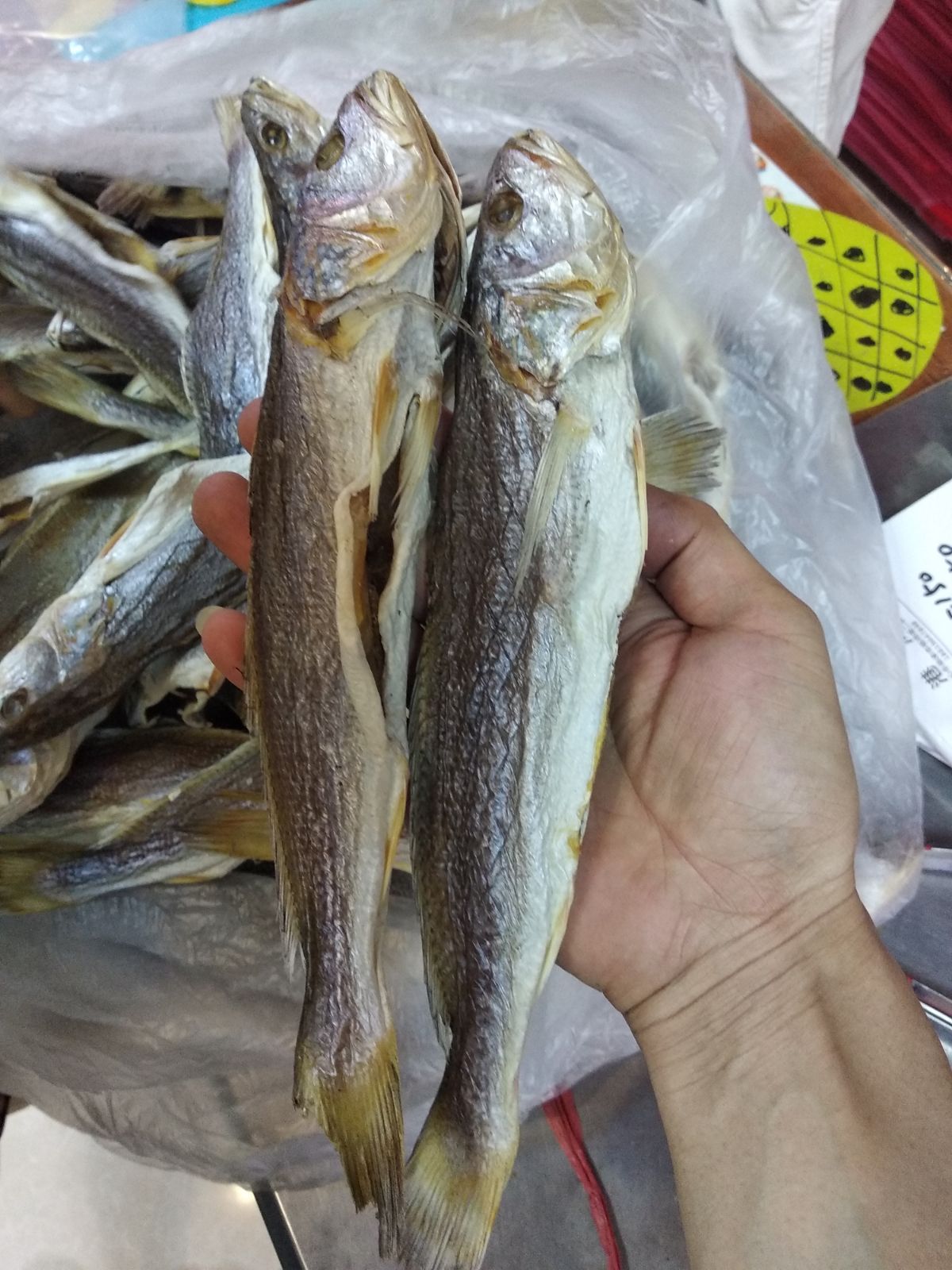 渔民自晒三牙鱼干咸鱼干海鲜干货新晒500克包邮广东特产