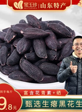 黑玉珍黑花生山东瘪粒甘甜花生仁