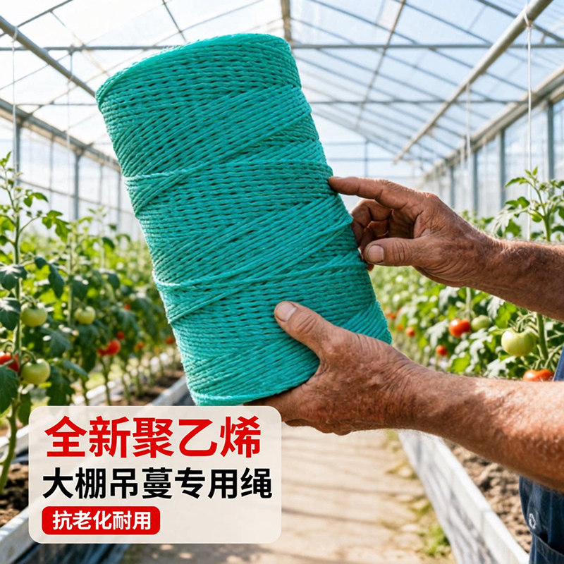 吊秧绳牵引绳蔬菜黄瓜塑料绳聚乙烯尼龙绳爬藤绳子吊蔓植物粗股
