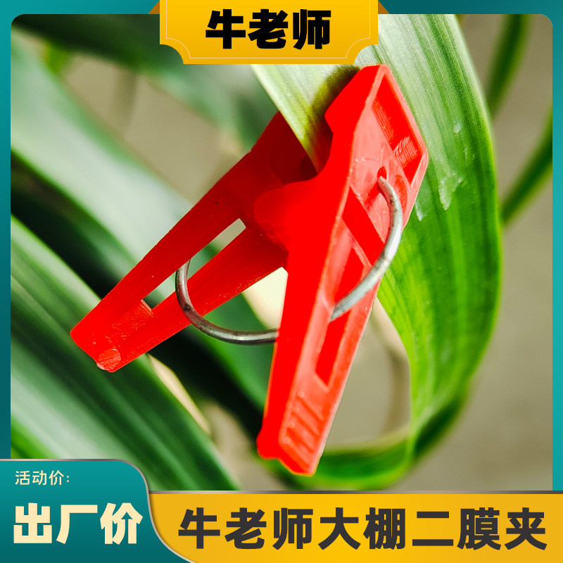 大棚二膜夹子内膜夹子塑料薄膜固定夹二层棚膜卡子蔬菜棚专用夹子