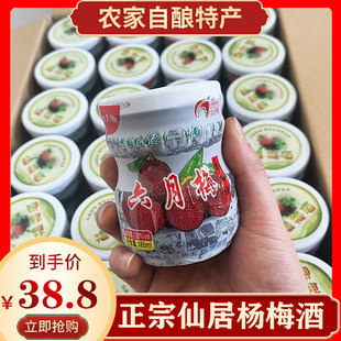 正宗杨梅酒小瓶装浙江仙居高低度果酒男女微醺杨梅浸泡梅子酒20瓶