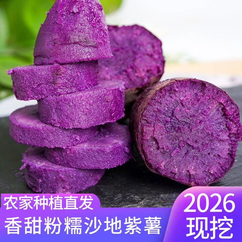 2026新果现挖紫薯软糯番薯新鲜蜜薯紫罗兰红薯农家沙地自种地瓜