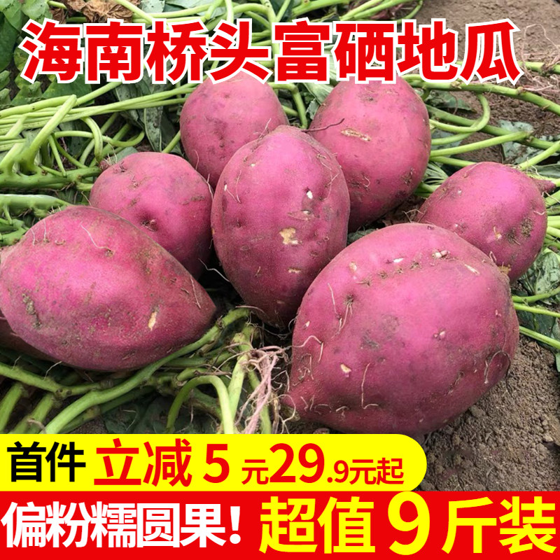 【粉糯圆果】海南澄迈沙地桥头富硒地瓜板栗味红薯新鲜现挖烤番薯