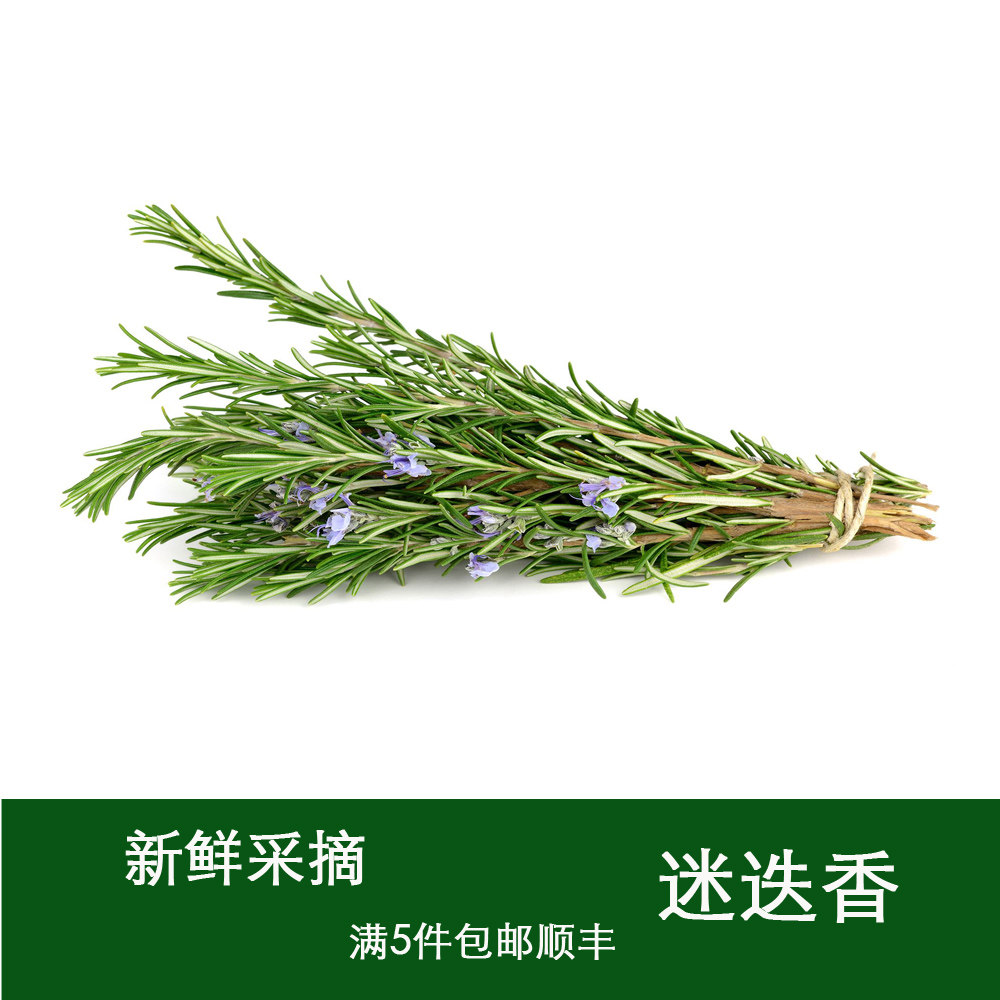 新鲜迷迭香牛排用食用香料西餐食材调味烘焙蛋糕装饰摆盘迷失香