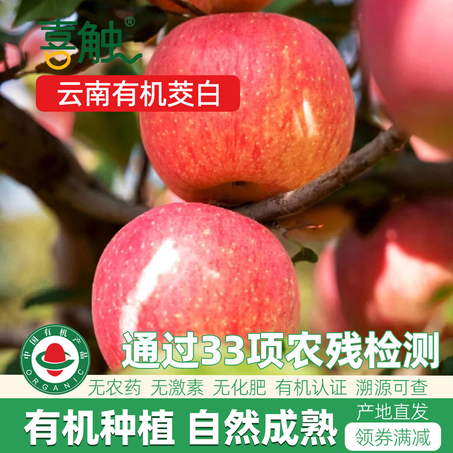 云南有机红富士苹果孕妇儿童水果