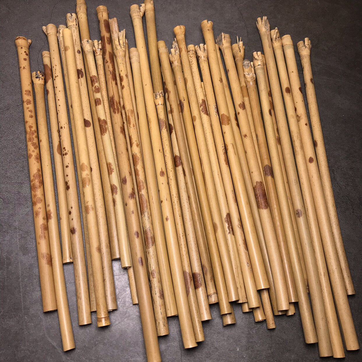 9两支包邮红湘妃竹节0.6-0.8 微瑕疵福建红湘妃竹毛笔杆料茶玩