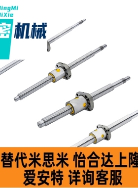 精密滚珠丝杠 C-BSS1202-0802 BSSE1002-1004-1010 BSX1002