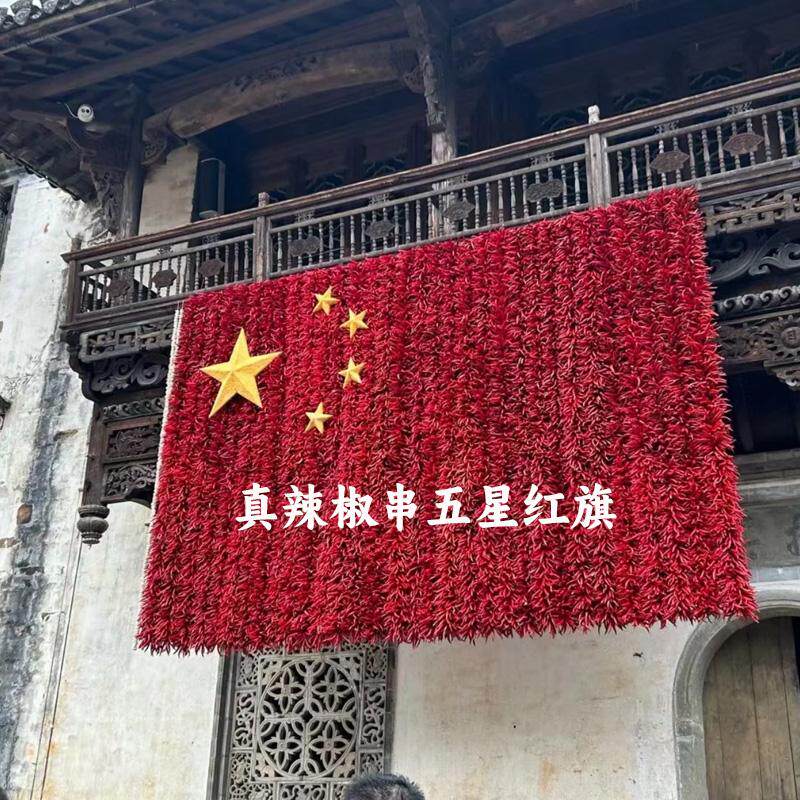 民宿农家乐仿真干辣椒挂串假玉米大蒜花生蔬菜装饰品五星红旗国旗