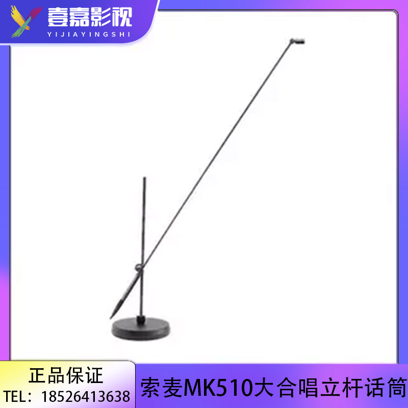 ANKAMK4立式单杆双杆演讲话筒
