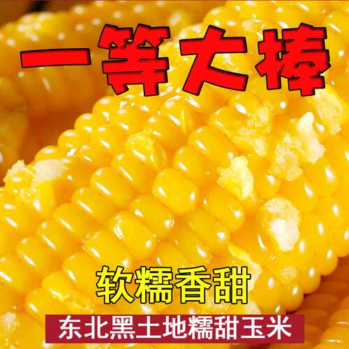 粗粮黑龙江特产糯玉米