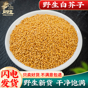 白芥子中药材500克白介子炒白芥子粉另售莱菔子山楂荷叶白芥子