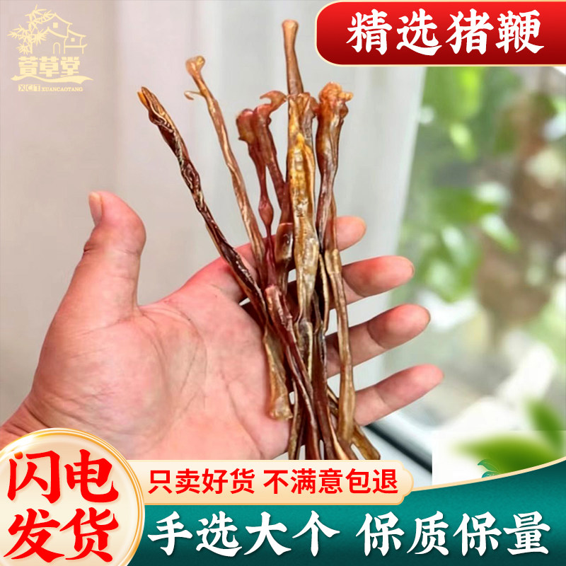 猪鞭干中药材纯正猪鞭干自然晾晒干猪鞭滋补泡酒料另售牛鞭狗鞭