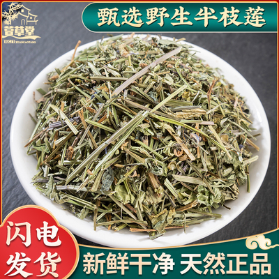 中药材透骨草新货透骨草粉