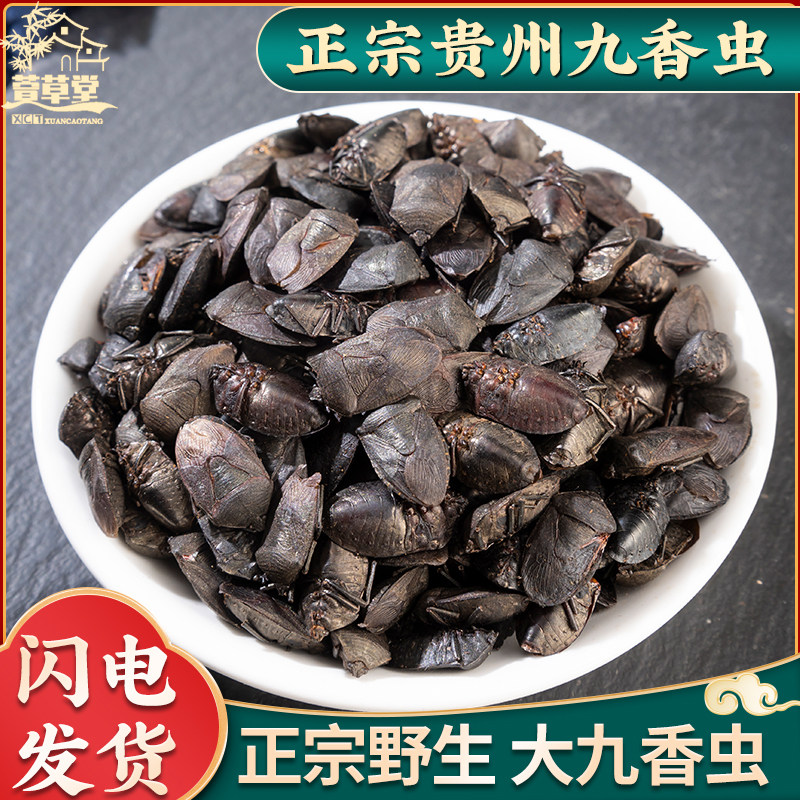 九香虫中药材 野生九香虫 500g克包邮正品打屁虫屁巴虫臭壳子虫