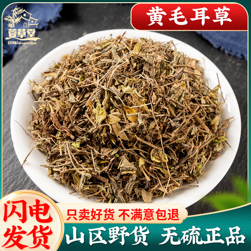 山区野货黄毛耳草中药材500g克 野黄毛儿草生虎耳草耳朵红老虎草