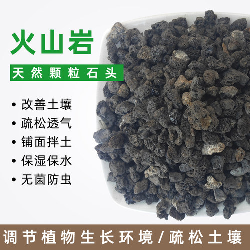 火山岩多肉月季兰花绣球造景