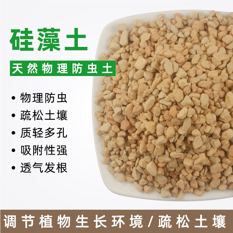 硅藻土种植多肉君子兰花卉