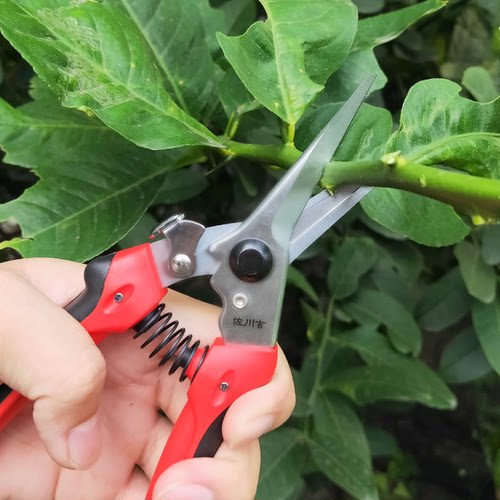 台湾佐川吉双色园艺包邮修枝剪