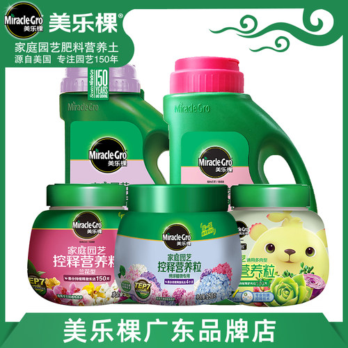 广东美乐棵通用绿植月季绣球花卉