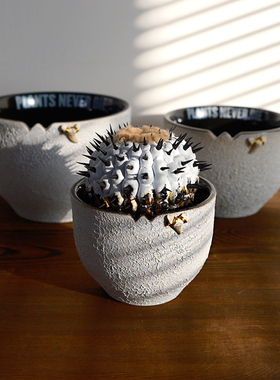 pndplus原创白月泡泡釉鲨鱼牙化石块根盆多肉龙舌兰陶瓷花盆透气