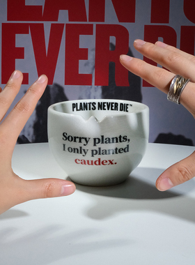 pnd恶搞英文冰裂陶瓷块根花盆多肉植物龙舌兰盆创意潮流包邮sorry