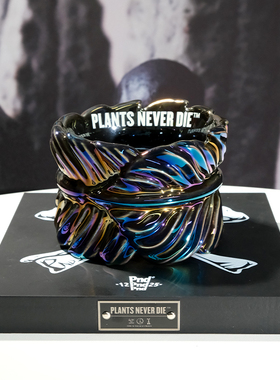 pnd原创炫彩羽毛块根植物花盆银饰七彩氧化风格多肉陶瓷盆包邮