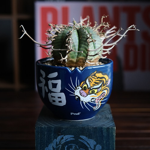 pnd陶瓷原创福虎块根专用花盆