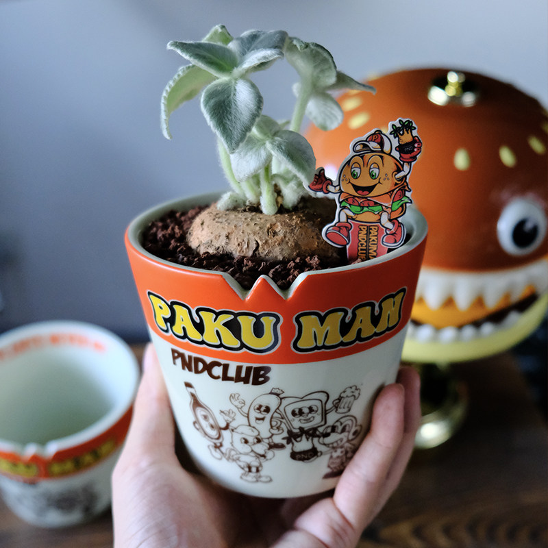 pnd联名pakuman汉堡原创块根植物花盆美式复古卡通透气橘色多肉