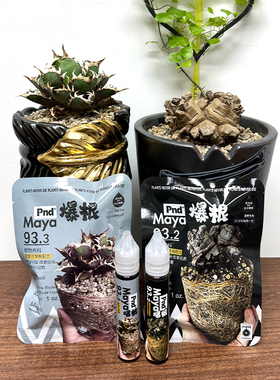 maya pnd联名块根植物专用液体肥浓缩营养液龙舌兰专用活力素生根