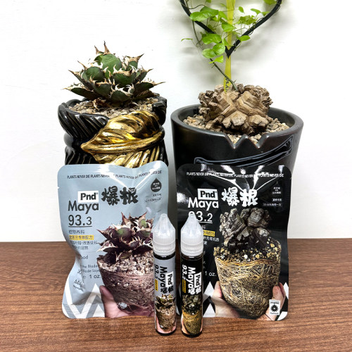 mayaXpnd联名块根专用营养液肥