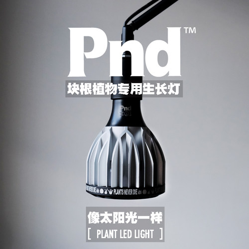 pnd原创块根植物专用补光灯