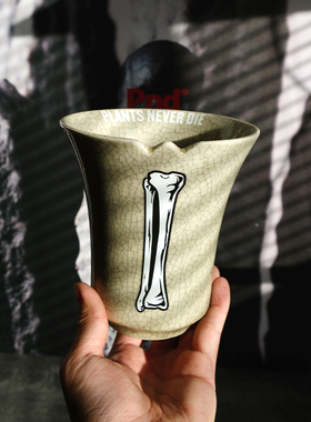 pnd原创白骨头块根植物花盆冰裂做旧陶瓷复古花卉多肉盆潮流包邮