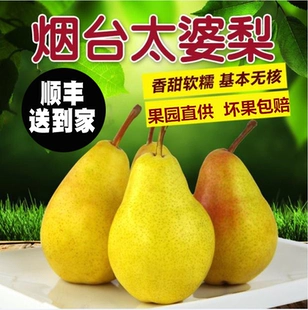 整箱当季 梨子茄梨青啤酒梨香蕉梨软梨5斤顺丰 山东太婆梨水果新鲜