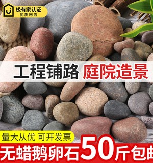 50斤大鹅卵石原石铺地铺路庭院彩色石头鱼缸装饰石子天然鹅软暖石