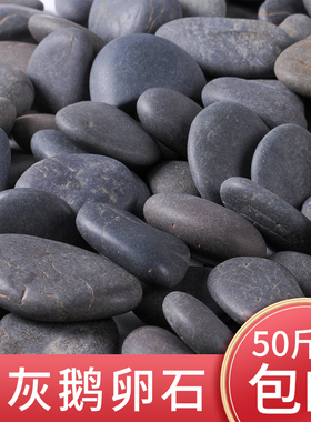 50斤装黑灰鹅卵石大石头庭院铺地铺路造景雨花石原石天然鹅软暖石