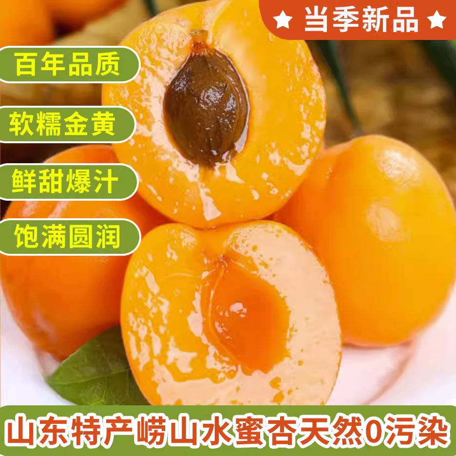 现摘现发山东青岛崂山水蜜杏黄杏甜杏5斤 /箱/Q