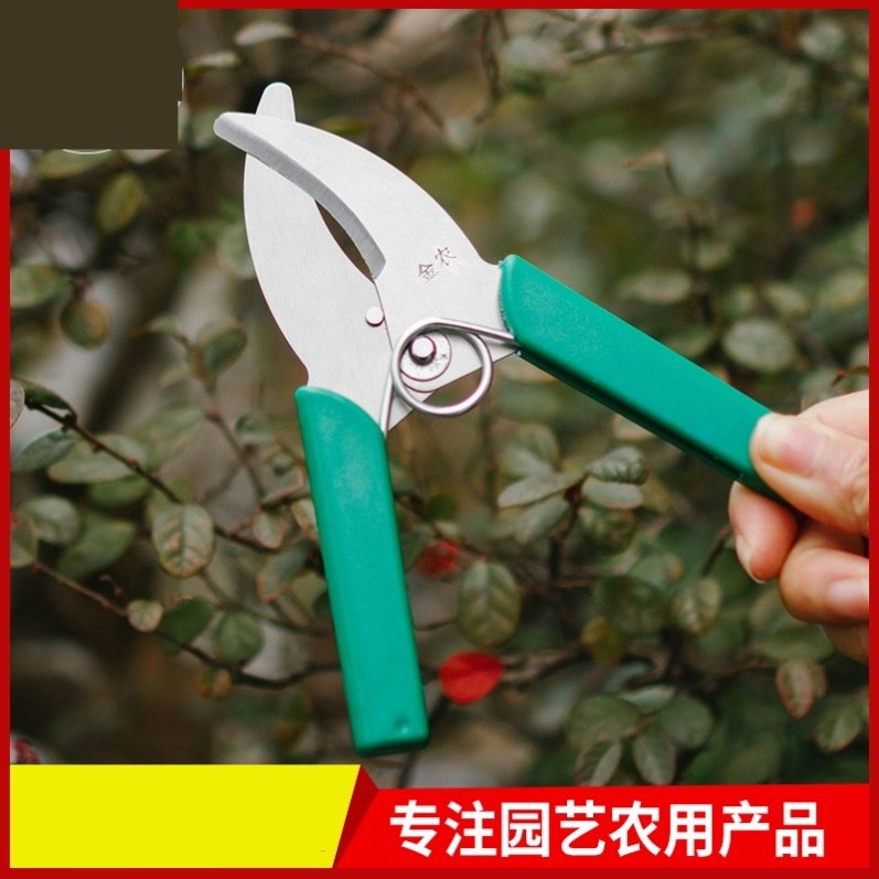 环割剪刀环切刀环形剪葡萄环剥剪环枝剪环割刀果树环剥刀园艺剪刀_虎窝淘