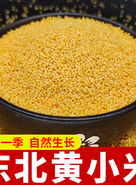 小米黄小米小黄米新米东北农家新黄小米粥食用新鲜杂粮小米子5斤