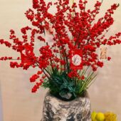 进口北美冬青盆栽树苗红果冬青年宵花卉室内外耐寒绿植物红果真花