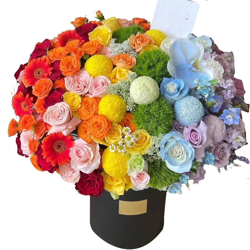 杭州同城鲜花彩虹花束蝴蝶兰