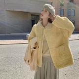 奶黄色加厚羊羔毛外套女秋冬2024新款韩系气质小个子皮毛一体棉衣，女装棉衣/棉服，浙宝266
