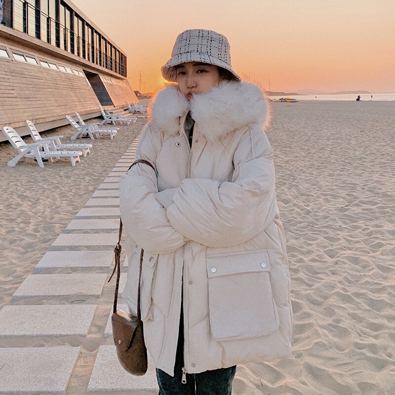 现货数据好四色带毛领短棉衣266-8865-P145K218，女装棉衣/棉服，浙宝266