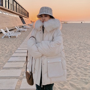 现货 数据好 四色带毛领短棉衣266-8865-P145K218,女装棉衣/棉服,浙宝266