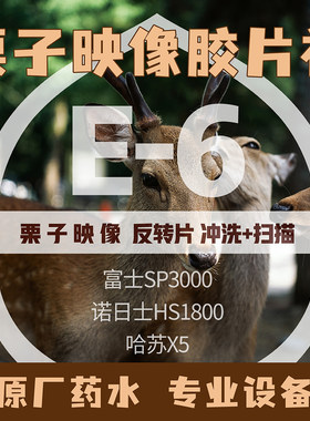 栗子映像反转片e6冲洗哈苏x5扫描
