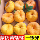 黄肉大果 黄金蟠桃应季 新鲜水果 包邮 扁桃子山东蒙阴黄蟠桃整箱当季