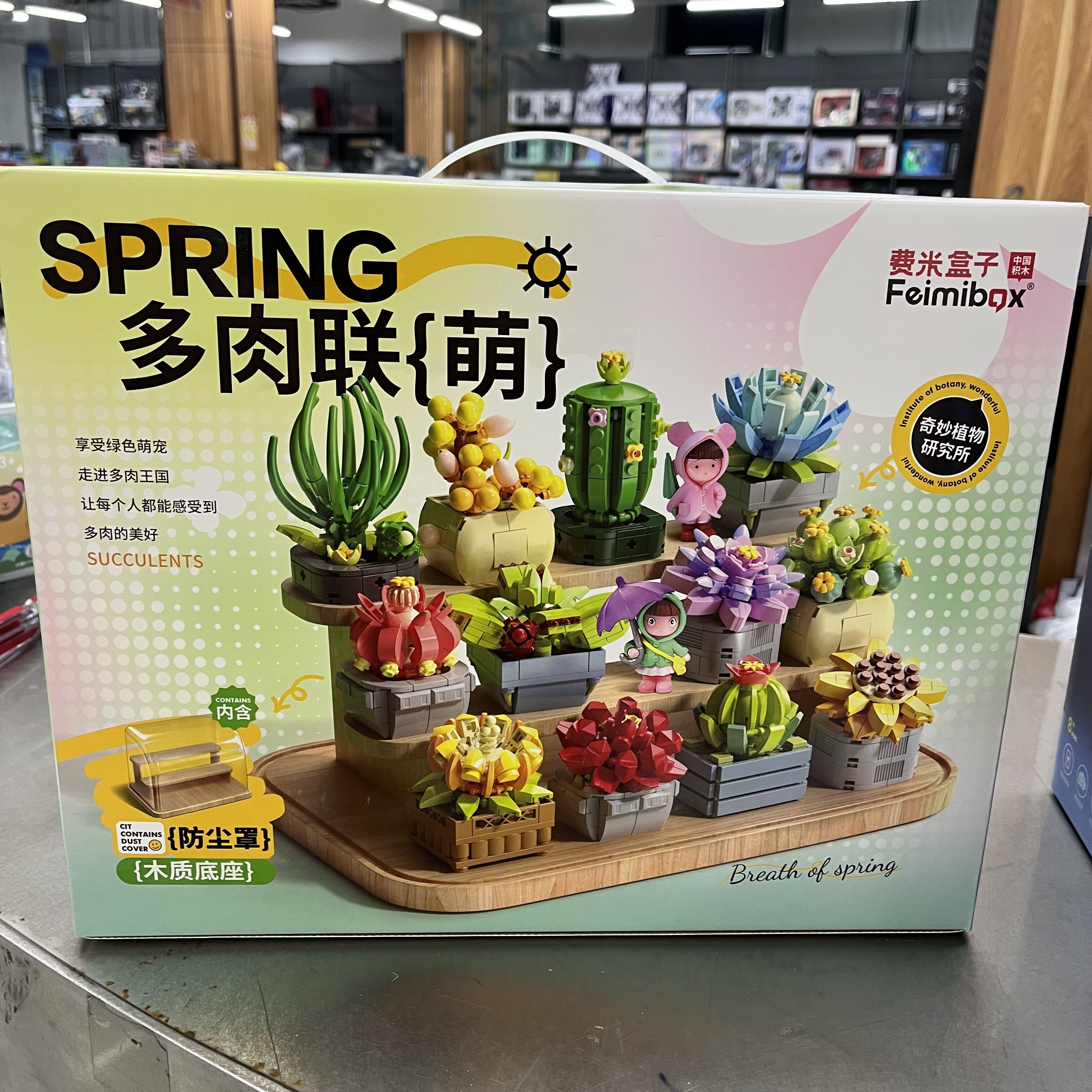 费米盒子多肉植物盆栽拼装积木